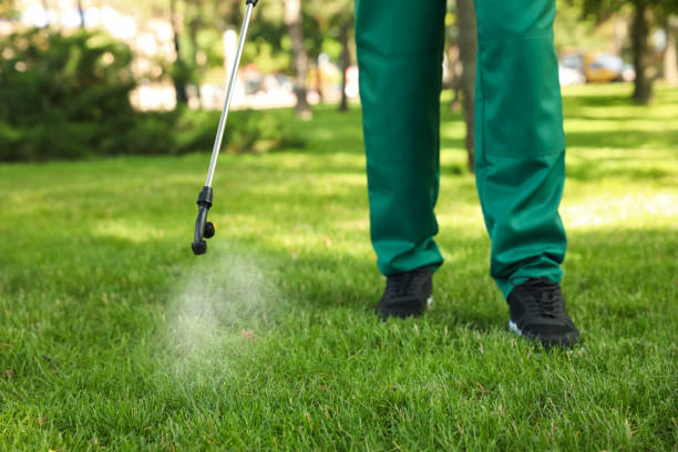 Best Flea Control Services  in Seven Fields, PA