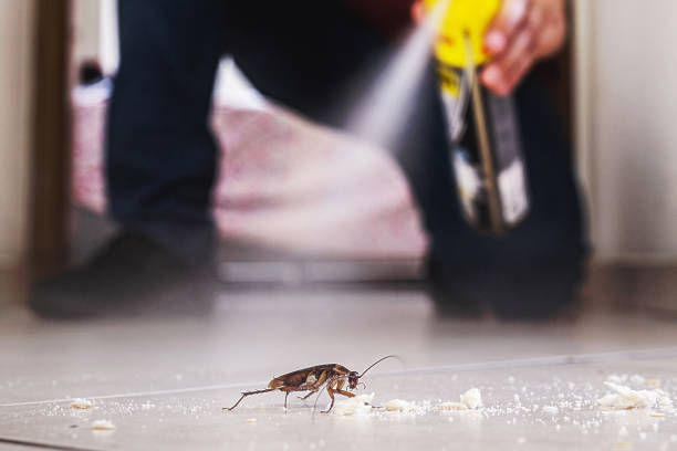 Best Termite Control Services  in Seven Fields, PA