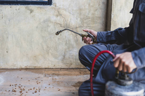 Best Mosquito Control Services  in Seven Fields, PA